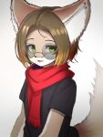 anthro big_ears black_clothing black_topwear brown_body brown_fur brown_hair canid canine clothing eyebrows eyewear fennec_fox fox fur furry_tail gradient_hair green_eyes hair hi_res kemono lilkon looking_at_viewer male mammal multicolored_body red_scarf scarf shirt short_hair smile solo t-shirt tail topwear true_fox