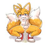  2_tails anthro balls blush bodily_fluids canid canine crouching cum cum_in_ass cum_inside cumfart cumshot ejaculation fart fox foxtanukiboy genital_fluids genitals hi_res male mammal miles_prower multi_tail nude penis sega solo sonic_the_hedgehog_(series) squatting_position tail tears young 