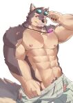 abs anthro bottomwear brown_body brown_fur canid canine canis clothing domestic_dog eyewear fur grin hi_res jewelry lifewonders live_a_hero male mammal muscular muscular_anthro muscular_male necklace nipples pecs poteto02888292 pubes pubraseer shorts smile solo sunglasses teasing