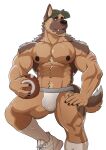 5_fingers alpha_channel anthro areola biceps biped bodily_fluids brown_body brown_fur bulge canid canine canis clothing detailed_bulge domestic_dog fingers footwear fur german_shepherd hat headgear headwear herding_dog hi_res jockstrap male male_anthro mammal muscular muscular_anthro muscular_male nipples pastoral_dog pecs plantigrade shoes simple_background socks solo sweat transparent_background underwear wolfybuns