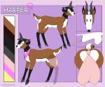  absurd_res animal_genitalia antelope anus balls blush bovid breasts butt dessert doughnut fan_character fem female feral food genitals girly gynomorph harper harper_(maxwellgunner) hi_res intersex mammal maxwellgunner model_sheet nsfw penis pronghorn sammehchub sheath solo teats trans udders 