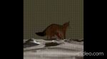  16:9 animal_genitalia animated feral genitals low_res male short_playtime solo widescreen 