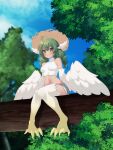  1girl absurdres ahoge bare_shoulders birb_(niniidawns) bird_legs blush braid breasts brown_eyes commentary commission english_commentary feathered_wings feathers green_hair hair_between_eyes harpy hat head_wings heart heart_ahoge highres long_hair monster_girl navel original outdoors samalilia sitting_on_branch small_breasts solo straw_hat talons tree twin_braids white_feathers white_wings wide_hips wing_ears winged_arms wings 