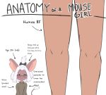  anatomy_of_a_gamer anthro arrows bangs big_ears clothing duo female hair hi_res human male mammal meme mouse murid murine old rat rodent size_difference sweater topwear unknown_artist white_hair 