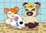 2024 accessory all_fours anus armor artist_logo balls bijou_(hamtaro) blue_eyes bodily_fluids boss_(hamtaro) bow_ribbon cage cricetid cum cum_in_mouth cum_inside eyes_closed fellatio feral fur genital_fluids genitals group group_sex hair_accessory hair_bow hair_ribbon hamster hamtaro hamtaro_(series) hand_on_butt hand_on_head hard_hat headgear helmet logo mammal oral orange_body orange_fur penetration penile penile_penetration penis penis_in_pussy pichu90 ribbons rodent sex spitroast tan_body tan_fur tapering_penis threesome trio vaginal vaginal_penetration white_body white_fur x_anus