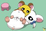 2024 accessory anus artist_logo bedding bijou_(hamtaro) blanket blue_eyes bow_ribbon brown_body brown_fur cricetid duo female female/female feral fur genitals hair_accessory hair_bow hair_ribbon hamster hamtaro_(series) logo looking_at_viewer looking_back lying mammal on_back penelope_(hamtaro) pichu90 pussy ribbons rodent sex size_difference tribadism vaginal white_body white_fur