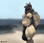  absurd_res animal_genitalia anthro balls big_balls canid canine clothing fully_sheathed genitals hair hat headgear headwear hi_res huge_balls hyper hyper_balls hyper_genitalia male mammal musclegut muscular nipples overweight pecs pubes sheath solo tagme thotfox vikifox 