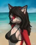  2021 anthro artist_name beach bikini black_bikini black_clothing black_collar black_hair black_swimwear breasts canid canine carmine_(foxovh) clothed clothing collar countershade_face countershade_fur countershade_torso countershading digital_media_(artwork) digital_painting_(artwork) female foxovh fur hair half-length_portrait hi_res long_hair mammal outside portrait red_body red_fur sand sea seaside shaded sky solo standing swimwear water white_body white_fur yellow_eyes 