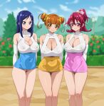  3girls absurdres aida_mana bangs bar_censor bare_shoulders blue_eyes blue_hair blue_skirt blunt_bangs bow breasts censored cleavage cleavage_cutout clothing_cutout cloud commentary covered_nipples day detached_sleeves dokidoki!_precure double_bun flower fuooooo groin hair_bow hair_bun highres hishikawa_rikka legs looking_at_viewer multiple_girls no_panties orange_eyes orange_hair orange_skirt outdoors pink_bow pink_eyes pink_skirt precure pubic_hair pussy red_hair short_twintails skirt sky smile standing twintails yotsuba_alice 