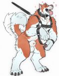  animal_genitalia anthro balls bound canid canine canis claws collar digitigrade domestic_dog eyes_closed fully_sheathed genitals hands_tied happy harness hi_res male mammal nude open_mouth petplay puppyplay roleplay sheath solo tail tail_motion tailwag tongue tongue_out tritscrits 