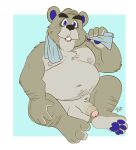  2023 animal_crossing anthro balls beaver belly chip_(animal_crossing) feet genitals hi_res humanoid_genitalia humanoid_hands humanoid_penis male mammal mature_male moobs navel nintendo nipples overweight overweight_male penis rodent simple_background sitting solo tbid towel towel_around_neck 