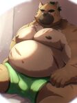  2023 anthro belly big_belly black_nose brown_body bulge canid canine canis clothing domestic_dog hi_res kemono lifewonders male mammal metaporin moobs navel nipples overweight overweight_male scar sitting solo tokyo_afterschool_summoners underwear yasuyori 