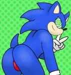 anthro bent_over butt clothing eulipotyphlan hedgehog hi_res looking_at_viewer male mammal oswald_the_otter presenting presenting_hindquarters sega solo sonic_the_hedgehog sonic_the_hedgehog_(series) speedo swimwear thong underwear 