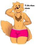  absurd_res anthro big_tail bird_dog body_hair bottomwear canid canine canis chest_hair clothing diggy(diggydog) diggydog domestic_dog english_text fur fur_markings golden_retriever hi_res hunting_dog male mammal markings nervous retriever shorts simple_background smile smiling_at_viewer solo tail text 