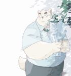  2023 anthro belly big_belly blush bottomwear canid canine canis clothing domestic_dog flower ginsingoo1 humanoid_hands kemono male mammal overweight overweight_male pants plant shirt solo topwear 