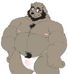  2019 anthro belly blush clothing cute_fangs eyewear fundoshi glasses humanoid_hands japanese_clothing jumperbear love_mechanic male mammal moobs navel nipples overweight overweight_male simple_background solo tom_(lm) underwear ursid white_background 