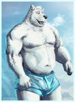  2023 abs anthro bear biceps blue_bottomwear blue_clothing blue_shorts body_hair bottomwear breath bulge chest_hair clothed clothing genital_outline gigasaddle male mammal manly muscular muscular_arms navel nipples outside pecs penis_outline polar_bear shorts shorts_only snow solo standing topless translucent translucent_clothing triceps ursine 