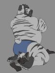 2024 anthro beard blue_clothing blue_underwear canid canine clothing duo dusty_(horrorbuns) facial_hair feet felid fox fur grey_body grey_fur hi_res hindpaw horrorbuns looking_down_at_partner looking_pleasured lying lying_on_ground male male/male mammal on_front on_ground pantherine paws purple_eyes red_fox silver_fox sitting_on_another sitting_on_back smile striped_body striped_fur stripes tiger true_fox underwear white_body white_fur