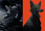  big_ears canid canine canis eyes_closed feral golden_jackal jackal long_ears male mammal night nude open_mouth outside red_background saint-vagrant shadow sharp_teeth simple_background solo tabaqui teeth the_jungle_book tongue whiskers 