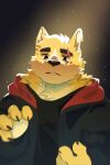  black_jacket cooper_krager dog furry furry_male highres jacket light_beam light_particles male_focus ponshanchamu remember_the_flowers scar scar_across_eye scar_on_face yellow_fur 