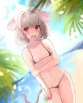  1girl alternate_costume animal_ears bangs beach bikini black_bikini blue_sky blush breasts chidori_nekoro cloud commentary_request covered_nipples cowboy_shot day dutch_angle fisheye floppy_ears grey_hair hand_on_own_arm highres horizon looking_at_viewer micro_bikini mouse_ears mouse_girl mouse_tail nazrin open_mouth outdoors palm_tree red_eyes short_hair sky small_breasts solo swimsuit tail touhou tree water 