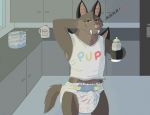  bottle cabinets chiropteran clothing diaper diaper.wolf erection fur kitchen male mammal milk shirt solo tank_top 