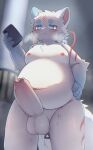 2025 4_fingers absurd_res accessory anal anal_beads anal_beads_in_ass anal_penetration anthro arm_markings belly big_penis big_tail biped blue_body blue_ear_tips blue_ears blue_eyes blue_fur blurred_background blush blush_lines bodily_fluids bow_ribbon breath canid canine cellphone centered_hair_bow cheek_tuft circle_eyebrows claws colored digital_media_(artwork) dipstick_ears ear_markings electronics erection eye_markings eyebrows facial_markings facial_tuft finger_claws fingers forehead_markings foreskin front_view fukakusa_(ra_tenpu) fur genital_fluids genitals gloves_(marking) hair hair_accessory hair_bow hair_ribbon hand_on_hip head_markings hi_res holding_cellphone holding_object holding_phone holding_smartphone humanoid_genitalia humanoid_hands humanoid_penis kemono light lighting male male_anthro mammal markings multicolored_body multicolored_ears multicolored_fur navel nipples nude object_in_ass overweight overweight_anthro overweight_male penetration penis phone pink_nipples ponytail portrait precum pupils red_body red_fur red_markings ribbons sex_toy sex_toy_in_ass sex_toy_insertion shaded short_ponytail sini_2525 smartphone solo standing sweat tail thick_tail three-quarter_portrait tuft unretracted_foreskin white_body white_fur white_pupils white_tail
