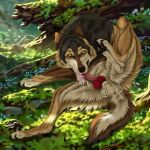 1:1 auto_penis_lick balls black_nose bodily_fluids canid canine cum cum_in_mouth cum_in_own_mouth cum_in_self cum_inside feral fur genital_fluids genitals grass grey_body grey_fur hi_res licking male male_feral mammal masturbation msdeadsoul open_mouth oral oral_masturbation outside penile penile_masturbation plant rock self_lick solo taki_(taki-wolf) tan_balls tan_body tan_fur tongue yellow_eyes