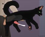 anal anal_penetration animal_genitalia animal_penis balls bestiality bodily_fluids clothed clothing cum cum_inflation cum_inside digital_drawing_(artwork) digital_media_(artwork) domestic_cat duo english_text erection felid feline feline_genitalia feline_penis felis feral feral_penetrated fur genital_fluids genitals held_up hi_res human human_on_feral human_penetrating human_penetrating_feral inflation interspecies little_kitty_(lkbc) little_kitty_big_city male male/male male_on_feral male_penetrated male_penetrating male_penetrating_male mammal open_mouth penetration penile penile_penetration penis rankedredpanda sex signature simple_background size_difference standing standing_sex sweat tail text