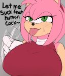  2023 amy_rose anthro big_breasts bodily_fluids breasts bust_portrait dialogue drooling english_text eulipotyphlan fellatio_gesture female gesture green_eyes hair half-closed_eyes hedgehog hi_res huge_breasts looking_at_viewer mammal motion_lines narrowed_eyes pink_hair portrait saliva sega short_hair solo sonic_the_hedgehog_(series) suggestive suggestive_gesture sweat sweatdrop talking_to_viewer tenshio text tongue tongue_out 