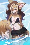anthro bikini bikini_bottom bikini_top black_nails blush bottomwear breasts brown_body brown_eyes brown_fur brown_hair cepto_(artist) clothed clothed_female clothing clothing_pull cloud colored_nails female fluffy fluffy_tail frilly frilly_bottomwear frilly_clothing fur hair hi_res high_waisted_bikini high_waisted_bottomwear high_waisted_clothing humanoid_hands inner_ear_fluff long_hair long_tail looking_at_viewer multicolored_body multicolored_fur nails navel partially_submerged pulling_bikini_down pulling_bikini_strap signature sky solo swimwear tail thick_tail tuft two-piece_swimsuit water wave wavy_hair white_body white_fur