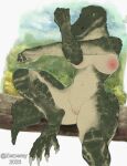  absurd_res anthro areola biped breast_squish breasts crocodile crocodilian crocodylid female genitals green_body green_eyes green_scales hi_res looking_at_viewer nipples pink_nipples pussy reptile scales scalie sitting solo solo_focus squish tail zerperay 