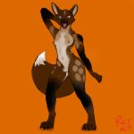  anthro breasts brown_body brown_fur canid canine countershading female fur hi_res mammal navel redmox_(artist) simple_background solo standing 