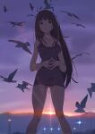  1girl ahoge ass_visible_through_thighs bangs bare_arms bare_legs bare_shoulders bird blue_eyes breasts brown_hair furuyama_itaru legs long_hair looking_up ocean one-piece_swimsuit open_mouth original own_hands_together seagull seaside small_breasts standing sunset swimsuit thighs very_long_hair 