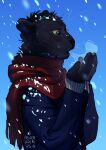  2019 anthro azuza black_body black_fur blue_background blue_clothing blue_topwear breath clothed clothing dated felid fur green_eyes half-length_portrait head_tuft hi_res male mammal open_mouth portrait red_scarf scarf side_view signature simple_background snow snowing solo tan_sclera topwear tuft 