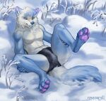  absurd_res anthro black_clothing black_panties black_underwear blue_arms blue_eyes blue_legs blue_tongue canid canine canis clothing domestic_dog fluffy fluffy_tail hi_res looking_at_viewer lying male mammal panties pawpads pink_ears pink_pawpads rosemary02 snow solo spread_legs spreading tail tongue underwear white_body 