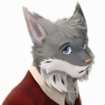  2022 anthro black_body black_fur blue_eyes bust_portrait cheek_tuft clothing colored countershade_face countershade_neck countershading dipstick_ears echo_(game) echo_(series) echo_project facial_tuft felid feline fur grey_body grey_fur grey_hair hair hi_res lineless looking_at_viewer lynx male mammal multicolored_body multicolored_ears multicolored_fur neku-neku pink_nose polo_shirt portrait red_clothing red_polo_shirt red_shirt red_topwear shirt short_snout simple_background solo tj_hess topwear tuft whiskers white_background white_body white_countershading white_fur white_whiskers 