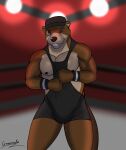  absurd_res anthro clothed clothing digital_media_(artwork) echo_(series) echo_project fur greensodafennec hi_res looking_at_viewer male mammal mustelid nipples otter simple_background smile solo sydney_bronson visual_novel 