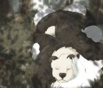  absurd_res anthro bear beartic digital_media_(artwork) digital_painting_(artwork) duo generation_5_pokemon generation_6_pokemon giant_panda hi_res male male/male mammal nature nature_background nintendo pangoro pokemon pokemon_(species) polar_bear sleeping sleeping_together ursine 