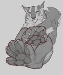  5_toes ambiguous_gender anthro feet felid female fluffy foot_focus hi_res looking_at_viewer mammal paws snowskau solo tetton toes 