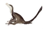  animal_focus dinosaur feathered_dinosaur from_side full_body highres mossacannibalis no_humans original simple_background sitting solo velociraptor white_background 