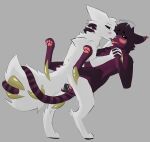 4_fingers 4_toes anonymous_artist anthro black_pawpads black_penis black_sclera black_tongue blue_eyes blush canid canine countershading curling_toes digital_media_(artwork) digitigrade domestic_cat duo ears_down entwined_tails erection feet felid feline felis fingers fluffy fluffy_tail fur genitals gunsaw gunsawian hand_on_head hi_res hybrid interlocked_fingers intersex intersex/intersex intravaginal_penis kissing_while_penetrated kissing_while_penetrating long_tail looking_at_another lying maleherm mammal maroon_fur milky_(gunsaw) mutual_penetration narrowed_eyes on_back pawpads penetration penile penile_penetration penile_spines penis penis_in_vagina pink_blush pink_pawpads pivoted_ears purring scav_prototype sex simple_background table_lotus_position tail tail_coil tapering_penis teeth toes tongue vaginal vaginal_penetration voyager_(gunsaw) white_body white_fur yellow_eyes