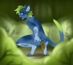 anthro anus balls blue_body blue_fur blue_inner_ear_fluff butt crouching dipstick_tail domestic_cat feces felid feline felis forest fur genitals gloves_(marking) green_body green_fur green_hair hair hand_on_butt hand_on_own_butt ikkigae inner_ear_fluff leg_markings looking_down male male_pooping mammal markings nude_anthro nude_male open_mouth outside plant pooping pooping_on_floor purple_eyes raised_tail scatplay shrub socks_(marking) solo spread_butt spreading tail tail_markings tongue tongue_out tree tuft