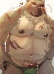  &lt;3 10_cosmo_24 2023 anthro belly blush bodily_fluids brown_body canid canine canis clothing domestic_dog genital_fluids genitals hi_res kemono lifewonders male mammal moobs navel nipples overweight overweight_male penis precum scar simple_background solo tokyo_afterschool_summoners underwear yasuyori 