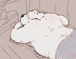  2023 anthro bear blush kemono kumazawow lying male mammal overweight overweight_male solo white_body 
