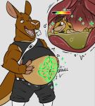 abdominal_bulge alternate_species anthro belly big_belly black_bottomwear black_clothing black_shirt black_tank_top black_topwear bottomwear breath brown_body brown_eyes brown_fur brown_skin character_name claws clothing cutaway dasyuromorph duo eyes_closed febrooary finger_claws fur gameplay_mechanics grey_background gui hand_on_belly hand_on_own_belly hands_behind_head healing healing_vore health_bar hi_res inside_stomach internal kangaroo long_ears looking_down looking_down_at_self macropod magic_user male male_pred male_prey mammal marsupial narrowed_eyes navel numbat open_mouth oral_vore rumbling_stomach runes safe_vore shirt simple_background smile sound_effects stealthystripes tail tan_body tan_fur tank_top teeth text topwear vore vore_day yellow_body yellow_fur