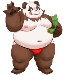  2023 4_fingers anthro bamboo bear belly big_belly bulge clothing fingers giant_panda hi_res kemono male mammal meg_hoi moobs navel nipples overweight overweight_male simple_background solo tongue tongue_out underwear 