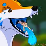 absurd_res anthro blue_tongue bodily_fluids canid canine duo fennec feral fox hi_res hostileprey kitsumuji_ceher macro male male/male mammal micro open_mouth oral_vore red_fox saliva saliva_on_tongue saliva_string size_difference tongue vore 