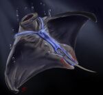  2017 batoid blue_clothing blue_swimwear bubble clothing digital_media_(artwork) female fish genitals k-libra manta_ray marine open_mouth pussy solo swimwear transformation underwater water 