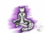  4:3 anthro black_nose canid canine canis crosslegged_pose domestic_dog eyes_closed fur grey_body grey_fur husky itsjim itsjimmm jim_(itsjim) male mammal meditating meditation nordic_sled_dog sitting spitz 